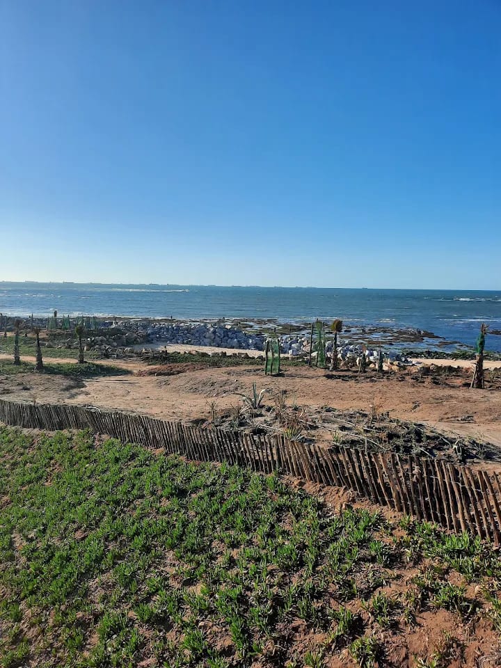 كورنيش عين السبع: واجهة سياحية تتحول إلى وصمة عار كورنيش عين السبع: واجهة سياحية تتحول إلى وصمة عار