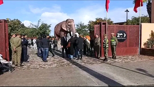 افتتاح حديقة عين السبع الدار البيضاء ...احياء لشريان متنفس مهم لمدينة تختنق