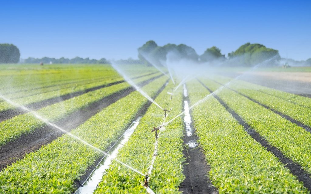 تقرير أممي يحذر من دخول المغرب مرحلة “الإفلاس المائي” بفعل استنزاف الفلاحة للموارد المائية