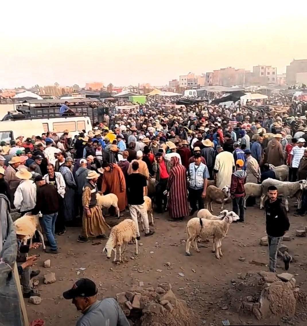 قلة عرض الأضاحي بسوق المواشي بقلعة السراغنة وارتفاع أسعارها يثيران غضب المواطنين