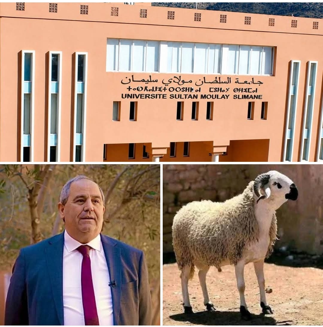 حين يعاقب الوزير جامعة كاملة بالصمت والشلل.. ويهدد أسرا بحرمانها من أضحية العيد
