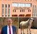 حين يعاقب الوزير جامعة كاملة بالصمت والشلل.. ويهدد أسرا بحرمانها من أضحية العيد