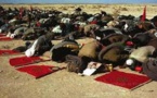 ذكرى الإعلان عن تنظيم المسيرة الخضراء.. استحضار محطة تاريخية من محطات النضال من أجل استكمال الوحدة الترابية للمملكة