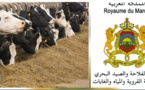وزارة الفلاحة تطلق برنامجا خاصا لدعم علف الماشية