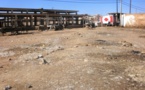 مدينة ابن جرير بدون طبيب بيطري والمجزرة الوجه الحقيقي للاستهتار بصحة المواطن