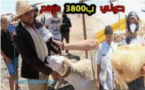 فرحة عيد الاضحى غابت، واستياء كبير حاضر وبقوة عند الفلاحين بجهة كلميم واد نون