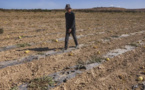 “أطاك”: الاستغلال الفاحش للمياه في فلاحة غير سيادية أجهض على الموارد المائية للمغرب