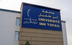 جامعة ابن طفيل تطلق إجازة جامعية متخصصة في “الإعلام والتواصل والذكاء الاصطناعي التطبيقي”