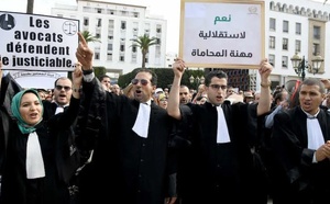 بعد احالته على الدستورية.. المحامي منديلي يرصد 10 “خروقات دستورية” في قانون المحاماة