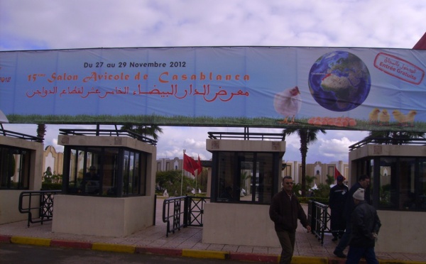 معرض الدار البيضاء الخامس عشر لقطاع الدواجن