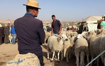 بوانو: الحكومة صرفت 61 مليارا على القطيع دون نتيجة وينبغي محاسبتها على حرمان المغاربة من الأضحية