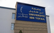 جامعة ابن طفيل تطلق إجازة جامعية متخصصة في “الإعلام والتواصل والذكاء الاصطناعي التطبيقي”